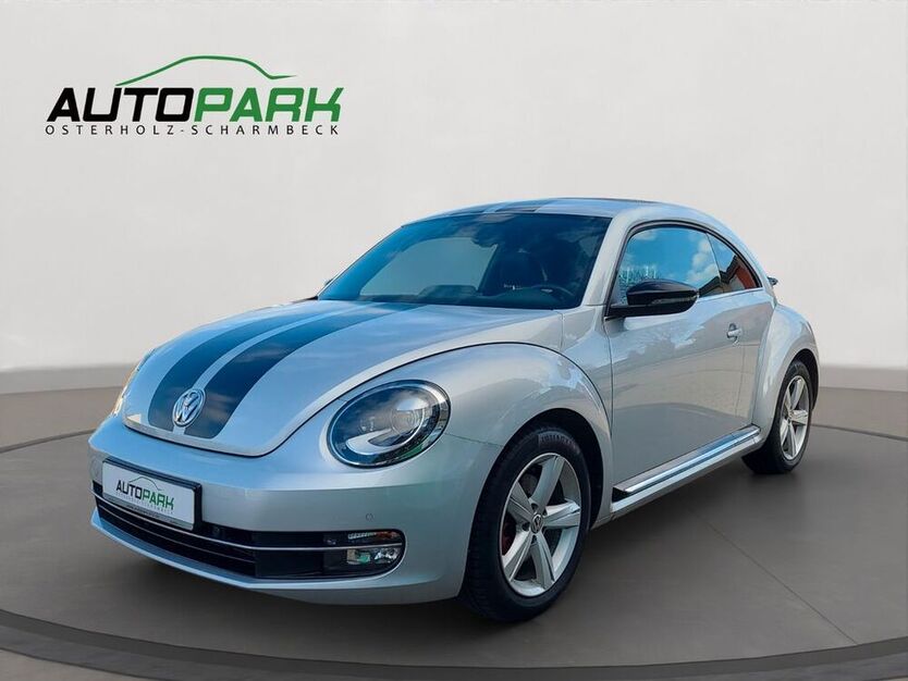 Beetle