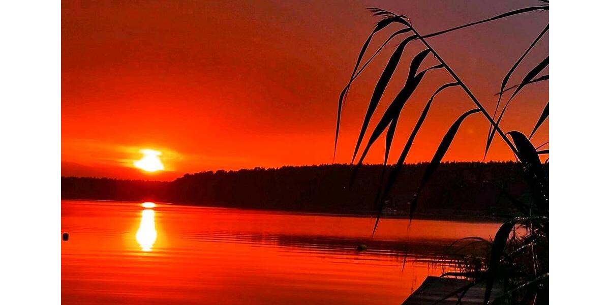 Bungalow Bremen Blumenthal - 1 Zimmer, 38 m&sup2;, 75.000&euro; | Angebot:26112102