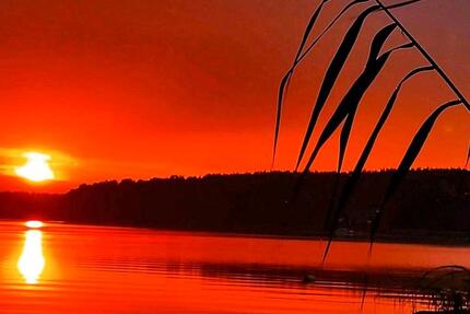 Haus Bremen Blumenthal - 1 Zimmer, 38 m&sup2;, 75.000&euro; | Angebot:26112102