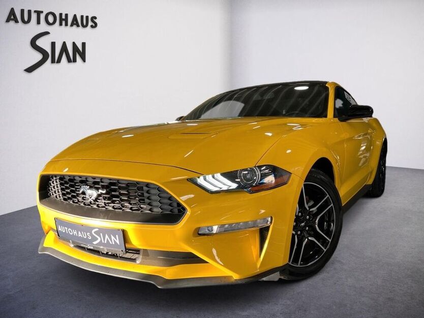 Mustang