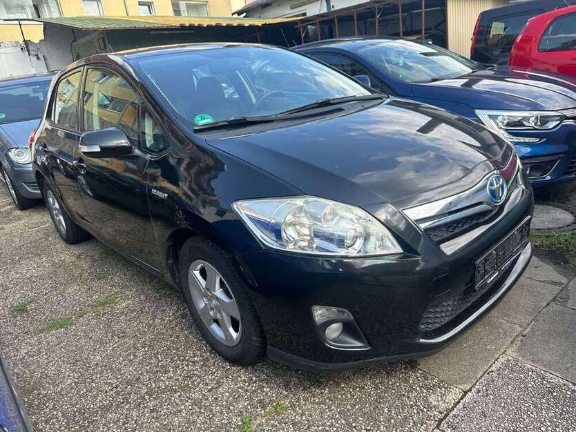 Auris