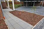 Erdgeschoßwohnung Syke - 2 Zimmer, 78 m&sup2;, 990&euro; | Angebot:26255390