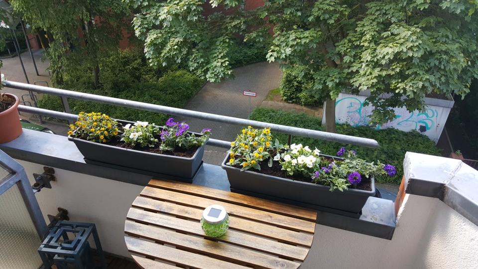 Etagenwohnung Bremen Findorff - 2 Zimmer, 50 m&sup2;, 580&euro; | Angebot:26485208