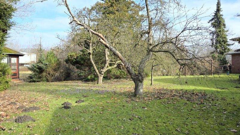 Bungalow Delmenhorst Deichhorst - 5 Zimmer, 130 m&sup2;, 315.000&euro; | Angebot:25692775