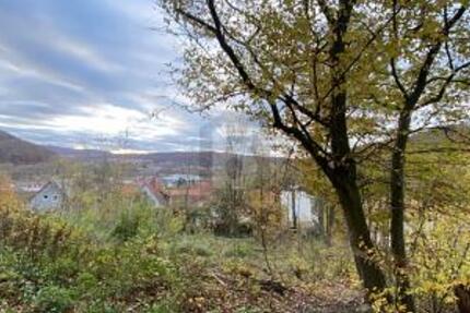 IHR RÜCKZUGSORT: 960 M² INMITTEN DER NATUR - Grundstück Hannoversch Münden | Angebot:27229329