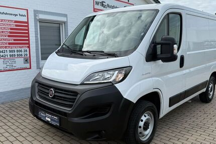 Fiat Ducato 31.000 km 19.950 &euro; Stuhr 28816