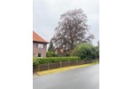 Einfamilienhaus Hude (Oldenburg) - 7 Zimmer, 280 m&sup2;, 479.000&euro; | Angebot:27231995