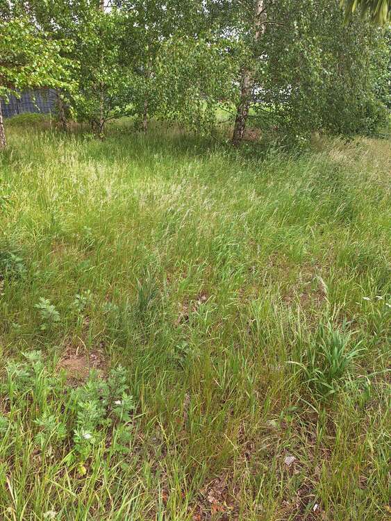 Grundstück zu verkaufen in Bremen 220.000 € 438 m²