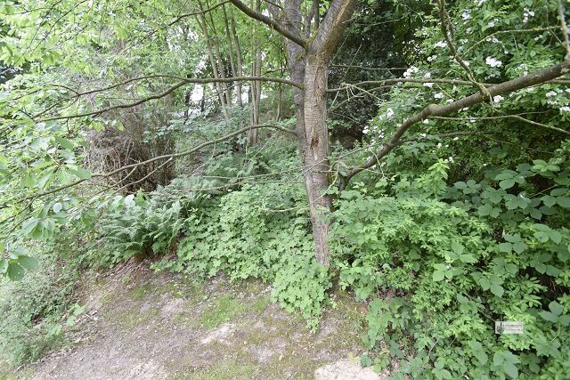 ***2.583 m² Grundstück mit 2 Abrisshäusern Neubau von 4 - 10 WE möglich*** - Grundstück Syke | Angebot:22401047