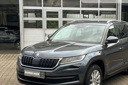Skoda Kodiaq 109.146 km 26.950 € Delmenhorst 27751