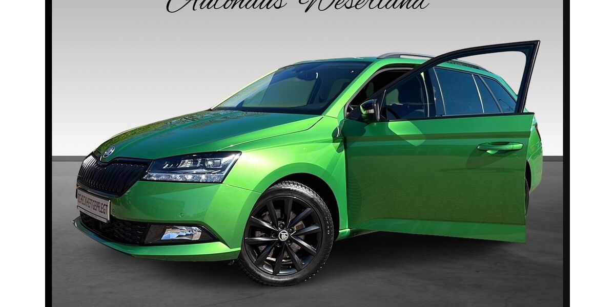 Skoda Fabia 70.163 km 13.490 &euro; Delmenhorst 27755