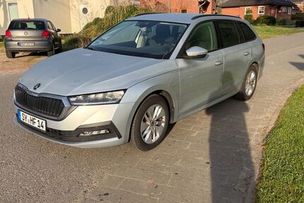 Skoda Octavia 218.000 km 11.700 &euro; Syke 28857