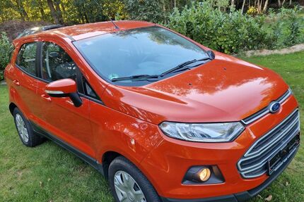 Ford EcoSport 164.900 km 5.400 &euro; Hude 27798