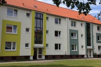 Renovierte 2-Zimmer-Wohnung 1 zimmer