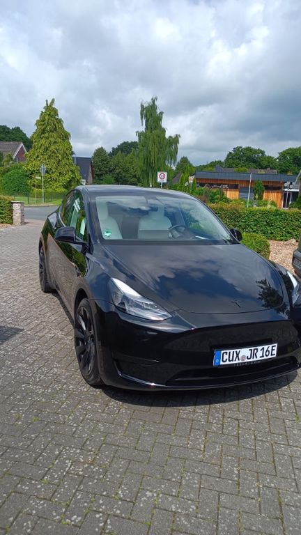 Model Y
