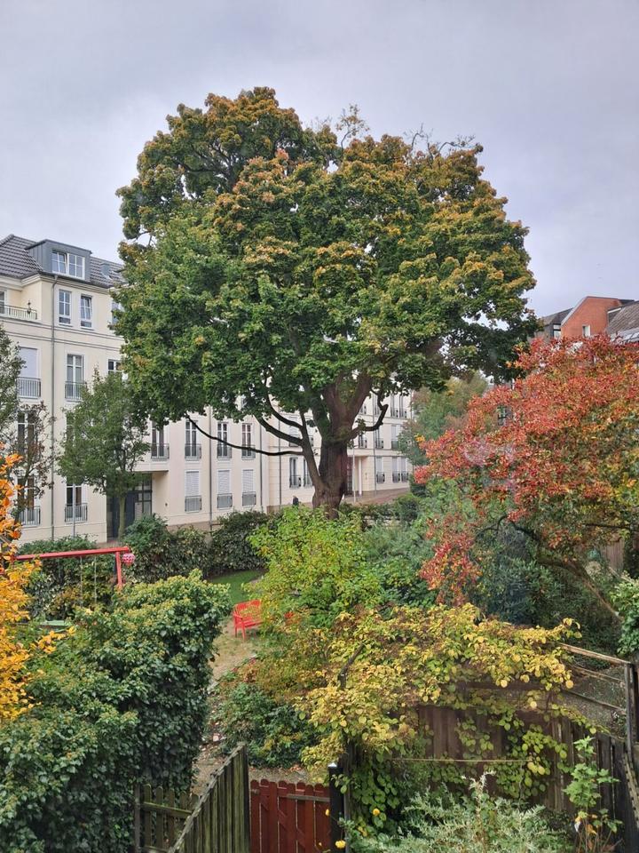 3 ZKBB Wohnung in Vegesack (Fähre) zimmer