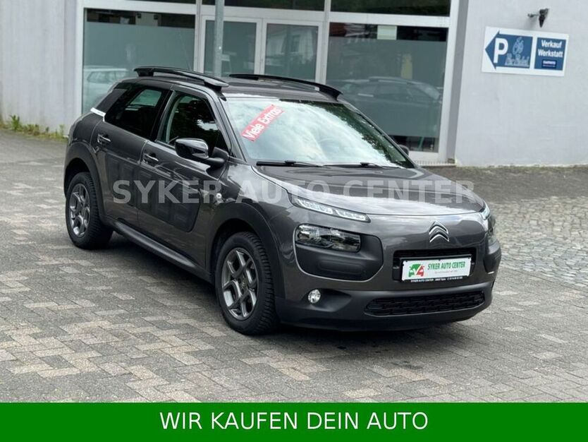 C4 Cactus