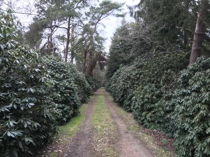 Bungalow Worpswede Waakhausen - 2 Zimmer, 50 m&sup2;, 500&euro; | Angebot:26307112