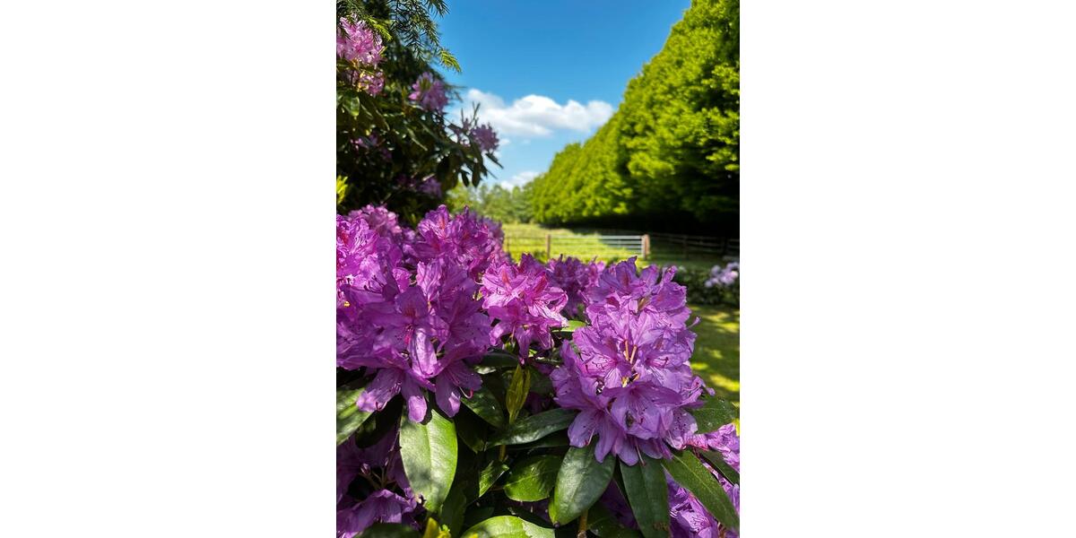 Wohnen mit Pferd nur 15 min von Bremen entfernt 3 zimmer