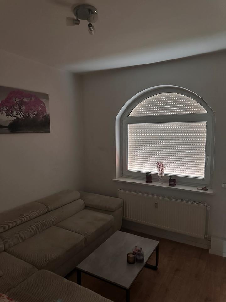 WG-Zimmer in schöner 2-Zimmerwohnung mit Garten (375€ warmmiete) 2 zimmer