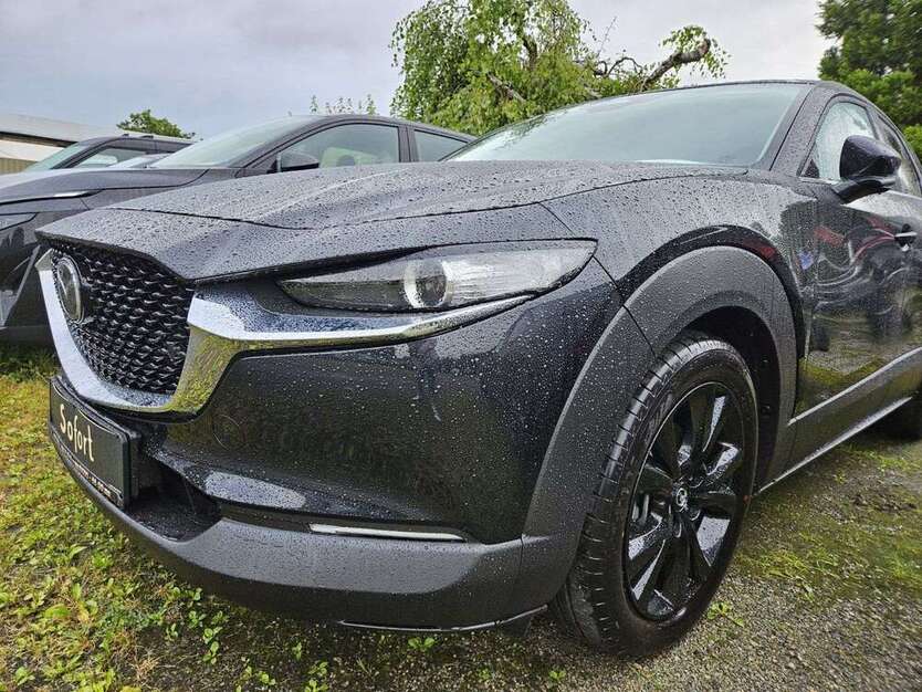 CX-30
