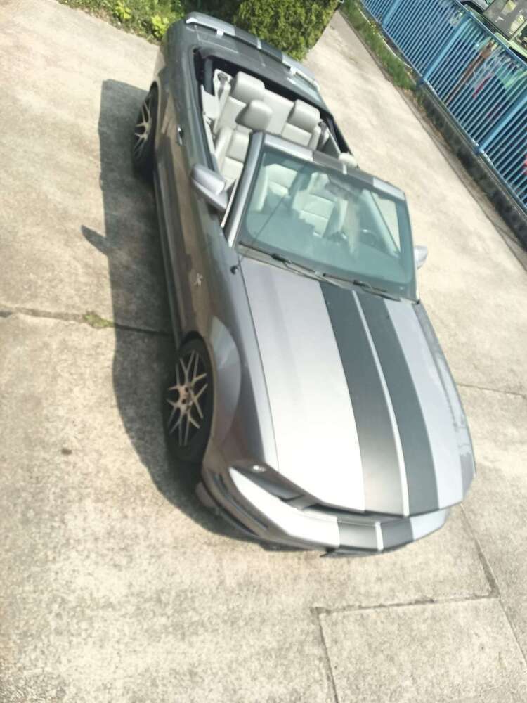 Mustang