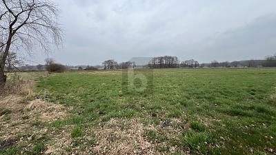 SONNIGES WEIDEPARADIES FÜR TIERHALTUNG - Grundstück Wilstedt | Angebot:26008057