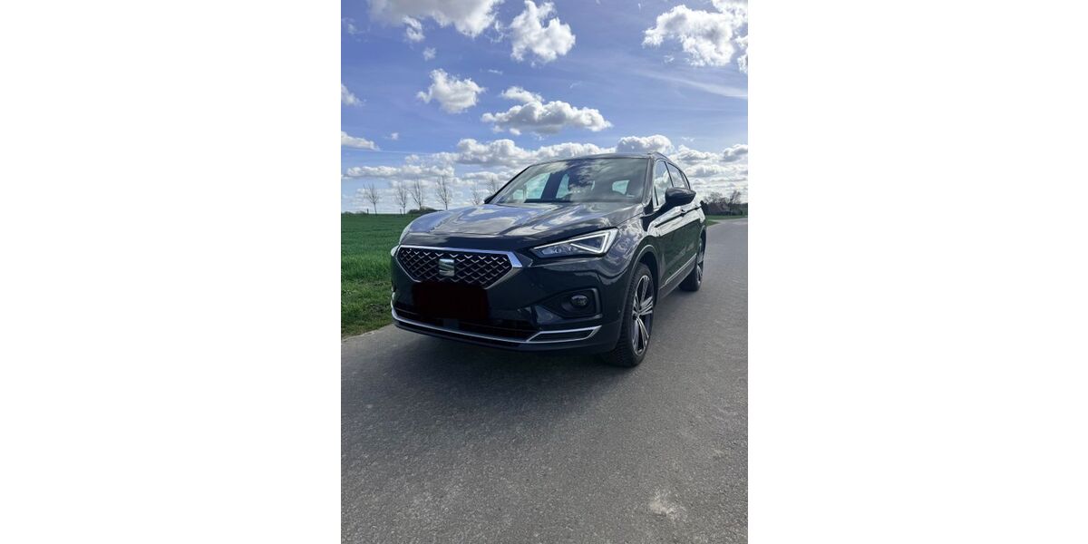 Seat Tarraco 62.500 km 21.500 &euro; Barrien 28857