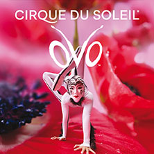 Cirque du Soleil - OVO 18.04.2027 ÖVB-Arena