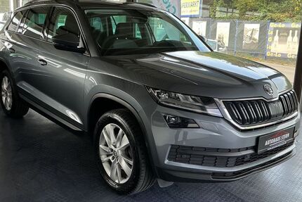 Skoda Kodiaq 250.000 km 16.900 &euro; Bremen 28201