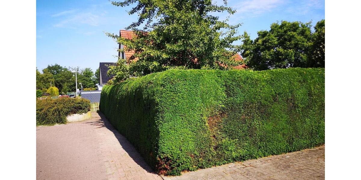 Einfamilienhaus Delmenhorst Bungerhof - 6 Zimmer, 150 m&sup2;, 419.000&euro; | Angebot:26109348