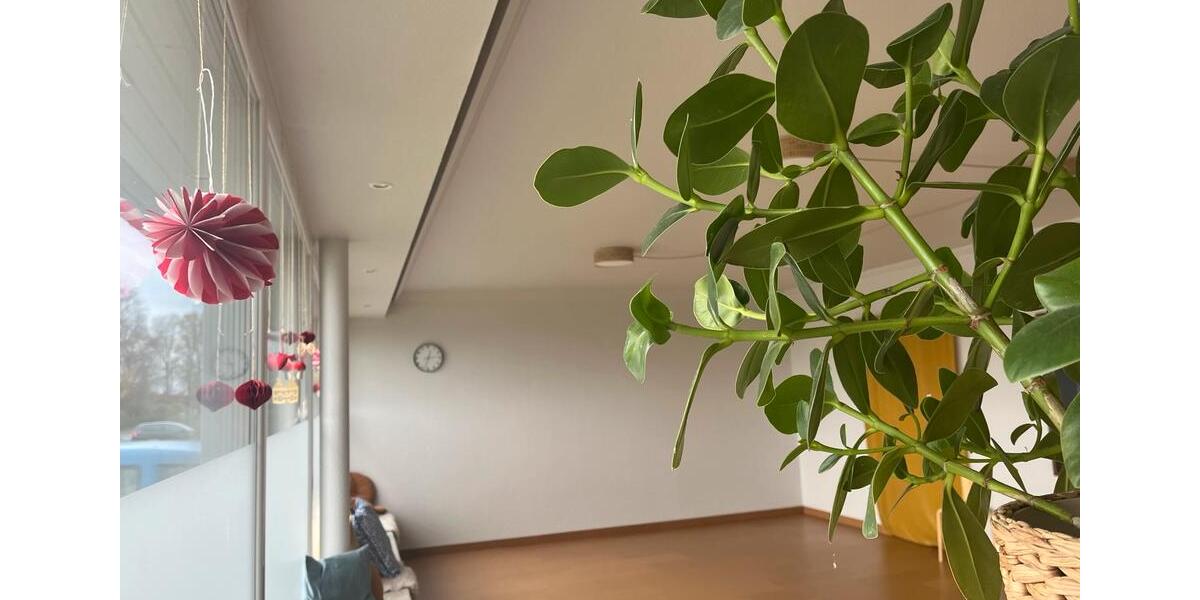 Untermiete Kursraum zimmer