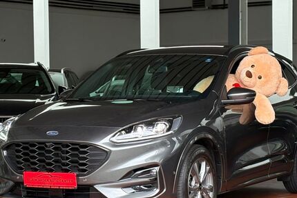 Ford Kuga 124.500 km 23.999 &euro; Bremen 28199