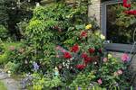 Bungalow Bremen Borgfeld - 8 Zimmer, 160 m&sup2;, 750.000&euro; | Angebot:26805520