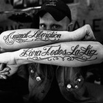 Los Fastidios & Zoo Escape