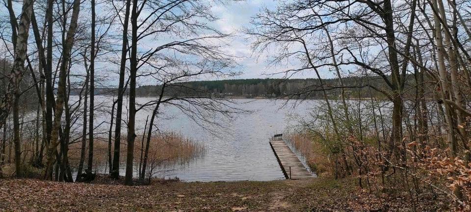 Bungalow Bremen Blumenthal - 1 Zimmer, 38 m&sup2;, 75.000&euro; | Angebot:26112102