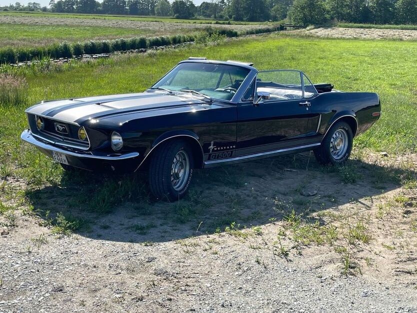 Mustang