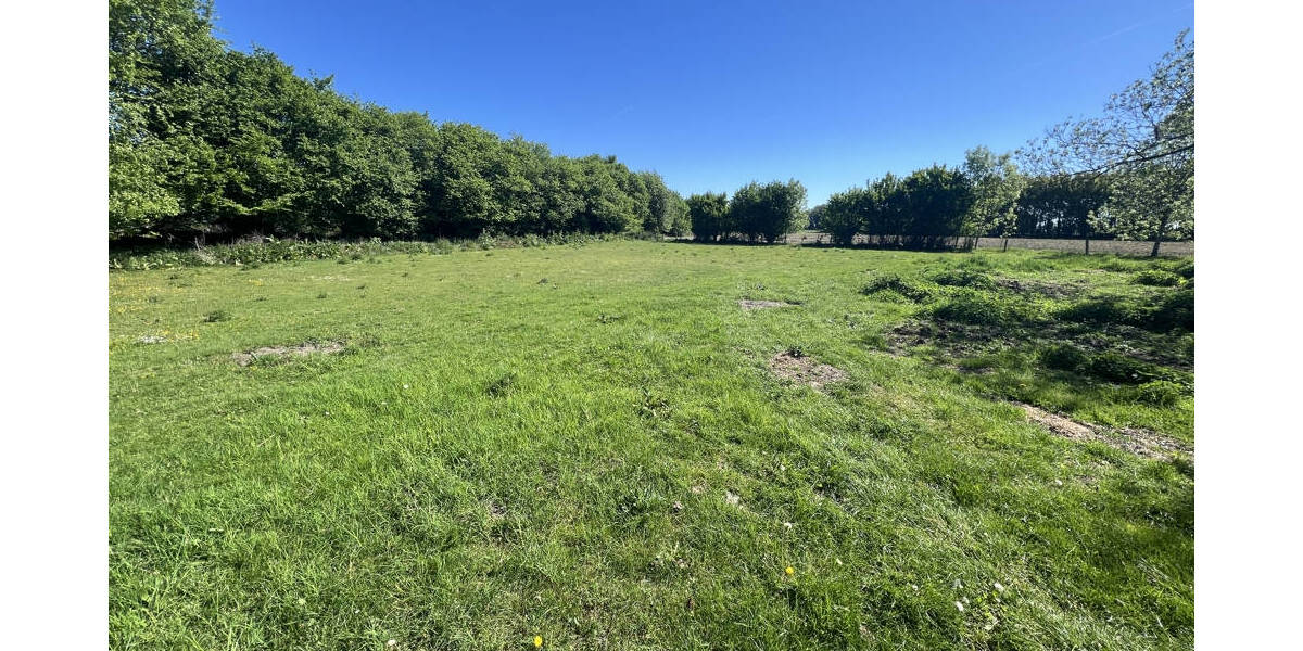 Tierliebhaber aufgepasst, Resthof mit Potential 5 zimmer