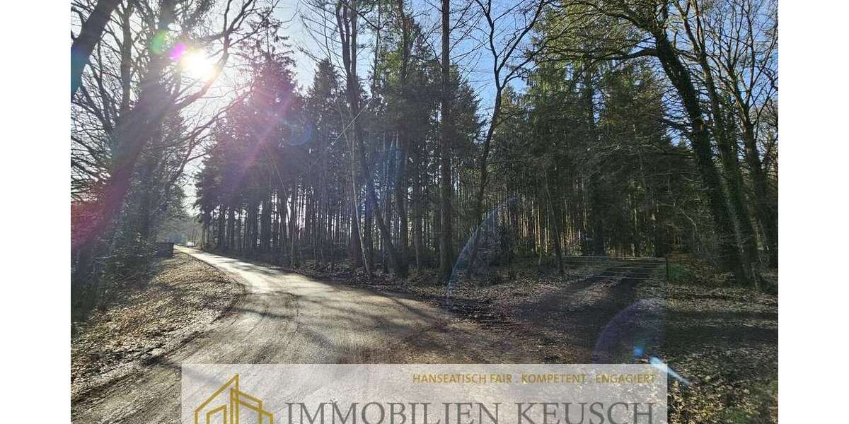 Grundstück Hambergen - 17.500&euro; | Angebot:25570864