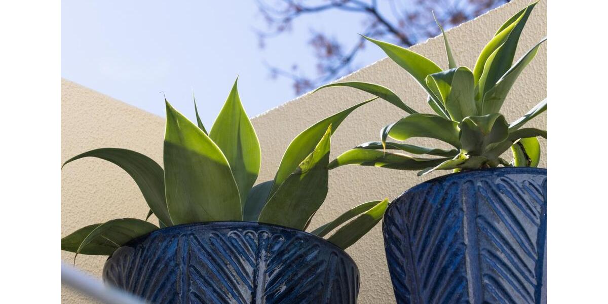 Reihenhaus Bremen Schwachhausen - 1 Zimmer, 63 m&sup2;, 399.000&euro; | Angebot:25252861