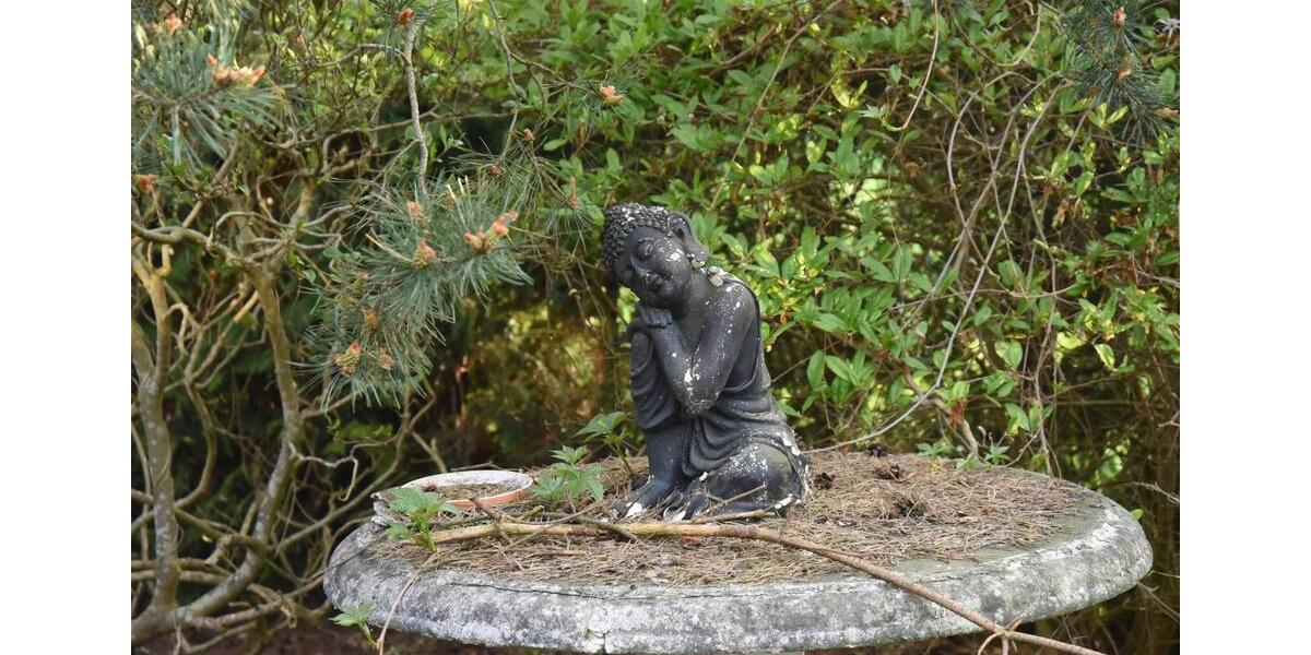 Bungalow Worpswede - 4 Zimmer, 133 m&sup2;, 263.000&euro; | Angebot:23541091