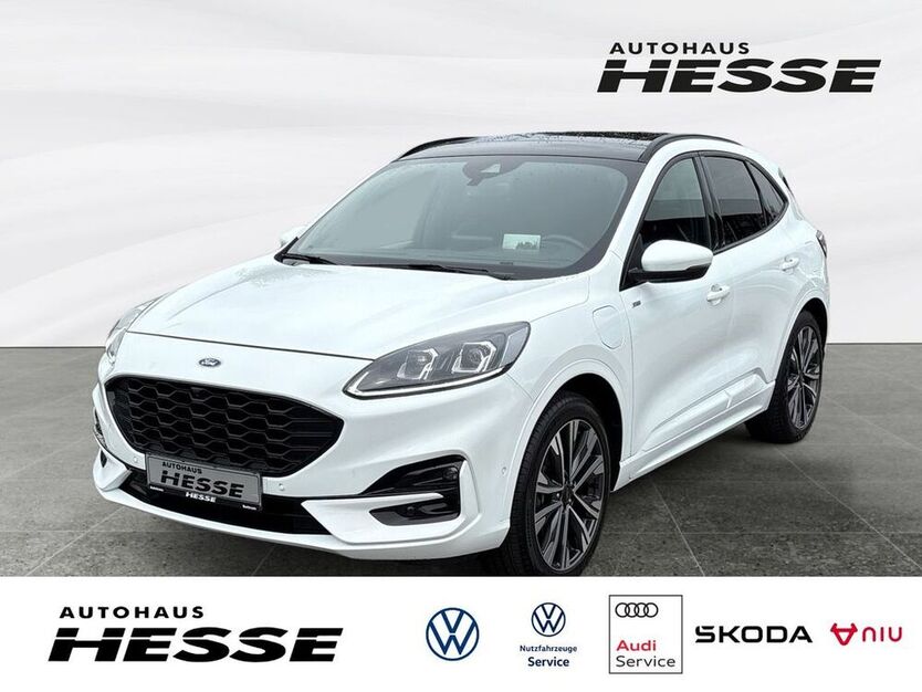 Kuga
