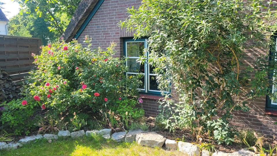 Einfamilienhaus Schwanewede - 10 Zimmer, 186 m&sup2;, 575.000&euro; | Angebot:26800179